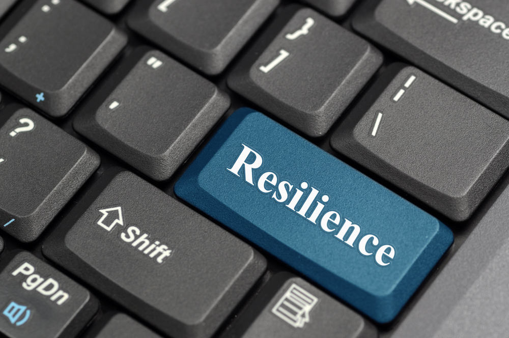 An illustration of redundant data systems for network resilience An illustration of redundant data systems for network resilience